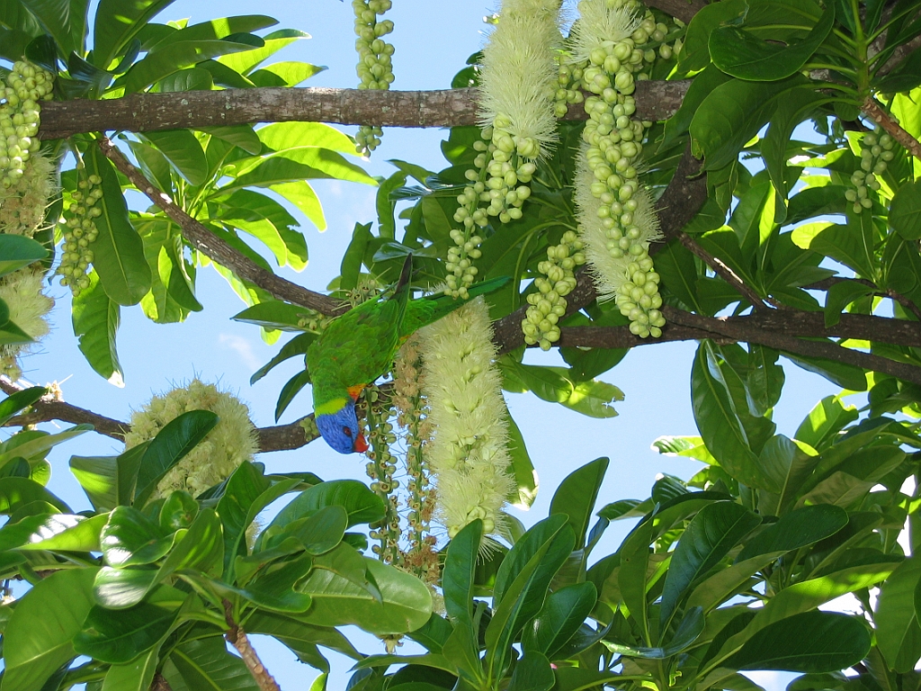 185 Cairns Esplanade.jpg